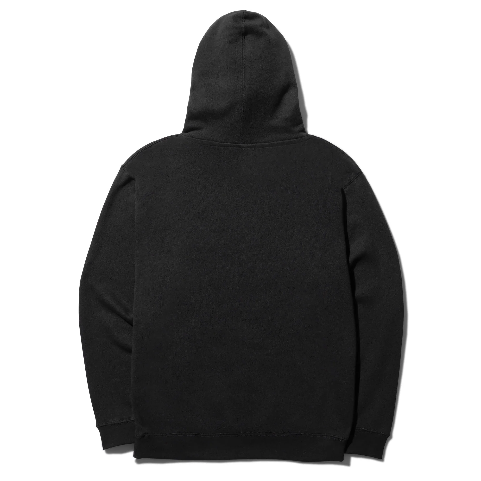 STANCE ESTABLISHED HOODIE - Image 4